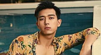 圈内爆料李现王思聪,娱乐圈的跨界风云  第2张